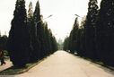 FastFoto_1949_a.jpg