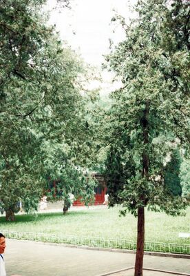 FastFoto_2000_a.jpg