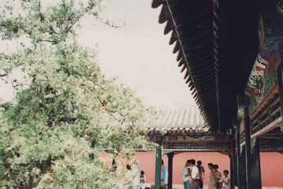 FastFoto_2010.jpg