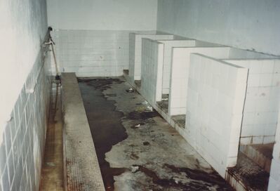 1995_DengFeng_0013.jpg