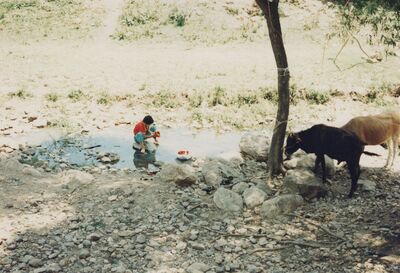 1995_DengFeng_0106.jpg