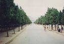 Filename=1995_DengFeng_0084.jpg
Filesize=279KiB
Dimensions=2047x1407
Date added=May 31, 2025 1995_DengFeng_0084.jpg