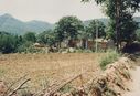 Filename=1995_DengFeng_0116.jpg
Filesize=536KiB
Dimensions=2048x1401
Date added=May 31, 2025 1995_DengFeng_0116.jpg