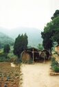 1995_DengFeng_0121_a.jpg