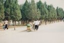 1995_DengFeng_0122.jpg