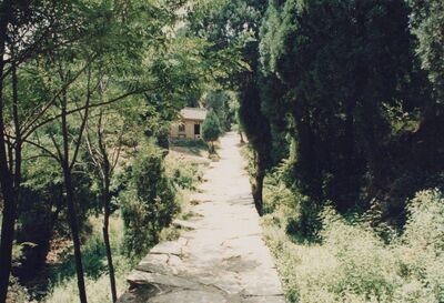 1995_DengFeng_0092.jpg