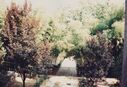 Filename=1995_Shaolin_0039.jpg
Filesize=570KiB
Dimensions=2047x1402
Date added=May 31, 2025 1995_Shaolin_0039.jpg