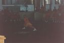 Filename=1995_Wushu_Guan_0021.jpg
Filesize=290KiB
Dimensions=2048x1402
Date added=May 31, 2025 1995_Wushu_Guan_0021.jpg
