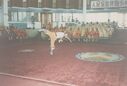 Filename=1995_Wushu_Guan_0022.jpg
Filesize=315KiB
Dimensions=2048x1391
Date added=May 31, 2025 1995_Wushu_Guan_0022.jpg