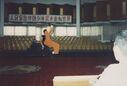 Filename=1995_Wushu_Guan_0029.jpg
Filesize=294KiB
Dimensions=2047x1389
Date added=May 31, 2025 1995_Wushu_Guan_0029.jpg