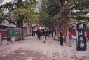 Filename=1995_Shaolin_0156.jpg
Filesize=474KiB
Dimensions=2048x1385
Date added=Jun 01, 2025 1995_Shaolin_0156.jpg
