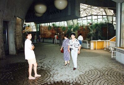 FastFoto_2127_a.jpg