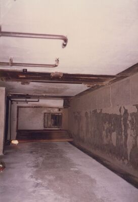 1987_Auschwitz_0014.jpg