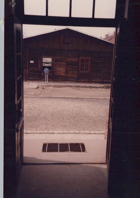 1987_Auschwitz_0015.jpg