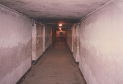 1987_Auschwitz_0032.jpg