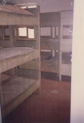 1987_Auschwitz_0038.jpg