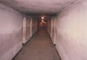 Filename=1987_Auschwitz_0032.jpg
Filesize=250KiB
Dimensions=2047x1400
Date added=Jun 01, 2025 1987_Auschwitz_0032.jpg