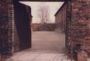 Filename=1987_Auschwitz_0033.jpg
Filesize=368KiB
Dimensions=2047x1381
Date added=Jun 01, 2025 1987_Auschwitz_0033.jpg