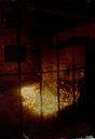 Filename=Auschwitz_4.jpg
Filesize=234KiB
Dimensions=1183x1720
Date added=Jun 01, 2025 Auschwitz_4.jpg
