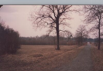 1987_Birkenau_0009.jpg