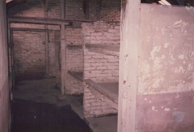 1987_Birkenau_0033.jpg