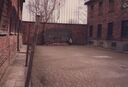 Filename=1987_Birkenau_0010.jpg
Filesize=383KiB
Dimensions=2047x1396
Date added=Jun 01, 2025 1987_Birkenau_0010.jpg