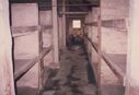 Filename=1987_Birkenau_0039.jpg
Filesize=281KiB
Dimensions=2048x1407
Date added=Jun 01, 2025 1987_Birkenau_0039.jpg