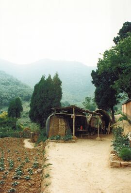 1995_DengFeng_0121_a.jpg