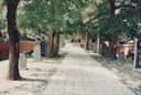Filename=1995_Shaolin_0100.jpg
Filesize=463KiB
Dimensions=2047x1380
Date added=May 31, 2025 1995_Shaolin_0100.jpg